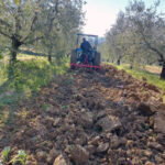 Lavori terreno