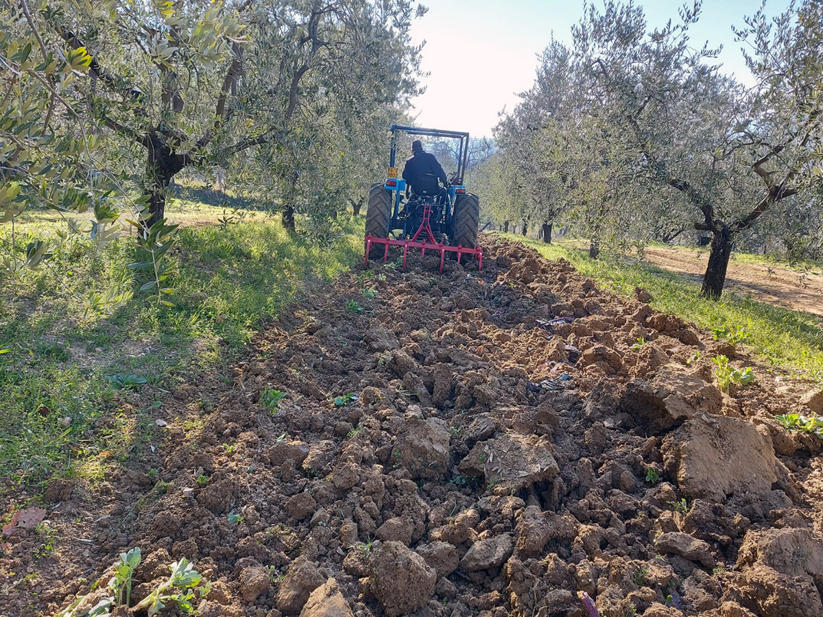 Scopri di più sull'articolo Iniziano i lavori di preparazione del terreno per le verdure estive