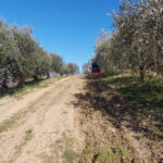 Lavoro terra3